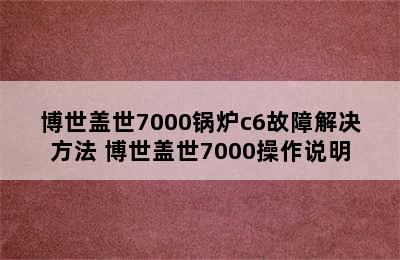 博世盖世7000锅炉c6故障解决方法 博世盖世7000操作说明